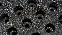 _DSC2899-Edit.webp