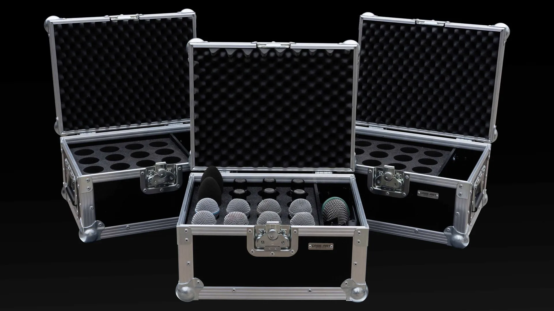 Microphone case - 700,00 PLN
